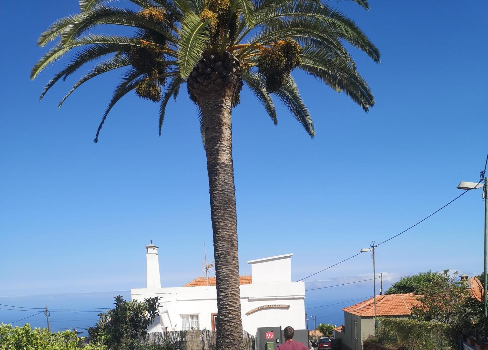 Pino Redondo Villa Puntagorda Екстериор снимка